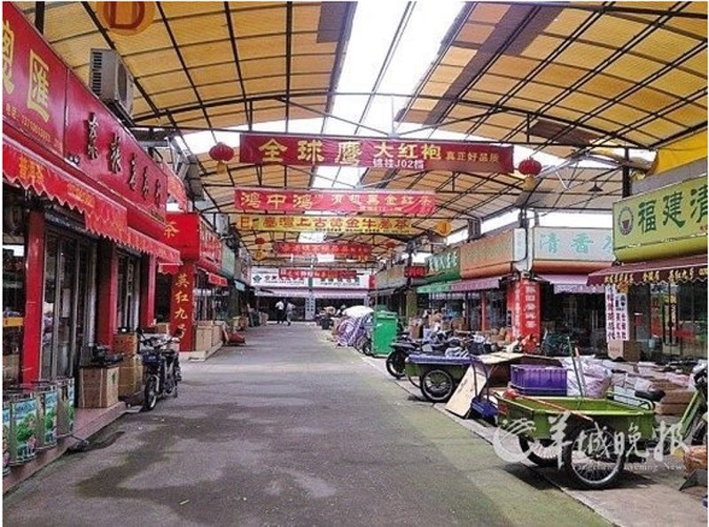 深圳茶叶批发行业动态：市场与趋势洞察