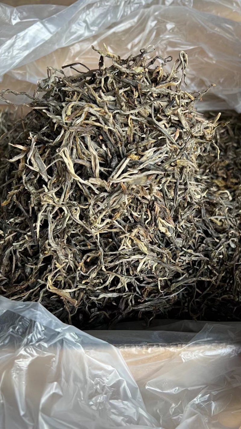 绿茶直销市场新趋势：健康理念风靡
